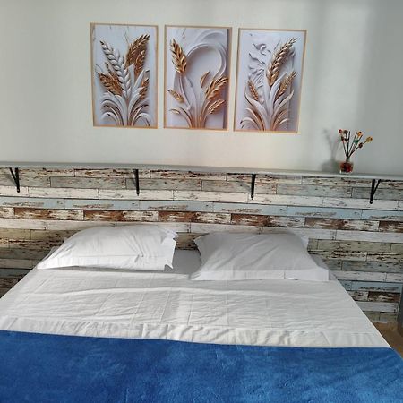 Alpha Hospedaria & Hostel Londrina Eksteriør billede